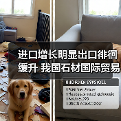 进口增长明显出口徘徊缓升 我国石材国际贸易额不乐观(图3) 进口增长明显出口徘徊缓升 我国石材国际贸易额不乐观(图3)