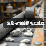 生物侵蚀的预防及处理（图4）