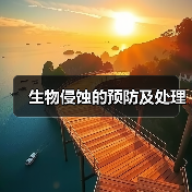 生物侵蚀的预防及处理