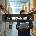 白云岩的特征是什么（图3）