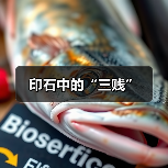 印石中的“三贱”(图3) 印石中的“三贱”(图3)