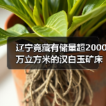 辽宁竟藏有储量超2000万立方米的汉白玉矿床？（图2）