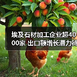 埃及石材加工企业超4000家 出口额增长潜力待释放（图2）