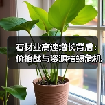 石材业高速增长背后：价格战与资源枯竭危机