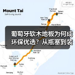 葡萄牙软木地板为何成环保优选？从瓶塞到装