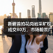 新疆首拍花岗岩采矿权成交80万,市场前景广阔?(图2) 新疆首拍花岗岩采矿权成交80万,市场前景广阔?(图2)