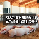 意大利石材市场遇挑战 东欧崛起中国主导新