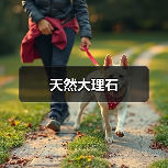 天然大理石（图1）