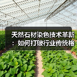 天然石材染色技术革新：如何打破行业传统格