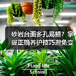 砂岩台面多孔易损？掌握正确养护技巧避免变色（图4）