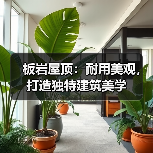板岩屋顶:耐用美观,打造独特建筑美学(图3) 板岩屋顶:耐用美观,打造独特建筑美学(图3)