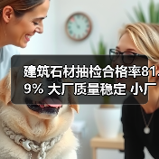 建筑石材抽检合格率81.9% 大厂质量稳定 小厂问题明显（图4）