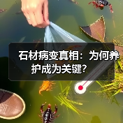 石材病变真相：为何养护成为关键？（图3）