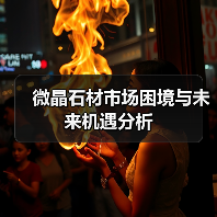 微晶石材市场困境与未来机遇分析(图4) 微晶石材市场困境与未来机遇分析(图4)