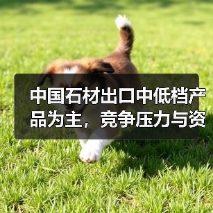 中国石材出口中低档产品为主,竞争压力与资源危机并存(图2) 中国石材出口中低档产品为主,竞争压力与资源危机并存(图2)
