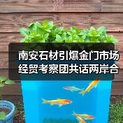 南安石材引爆金门市场 经贸考察团共话两岸