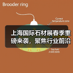 上海国际石材展春季重磅来袭，聚焦行业前沿