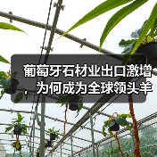 葡萄牙石材业出口激增，为何成为全球领头羊？（图4）