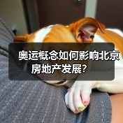 奥运概念如何影响北京房地产发展?(图1) 奥运概念如何影响北京房地产发展?(图1)
