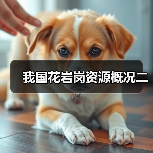 我国花岩岗资源概况二