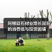 阿根廷石材业增长背后的消费低与投资困境(图3) 阿根廷石材业增长背后的消费低与投资困境(图3)