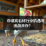 菲律宾石材行业机遇与挑战并存？