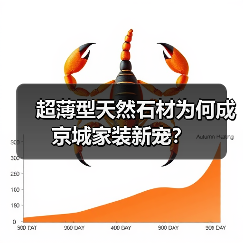 超薄型天然石材为何成京城家装新宠?(图3) 超薄型天然石材为何成京城家装新宠?(图3)