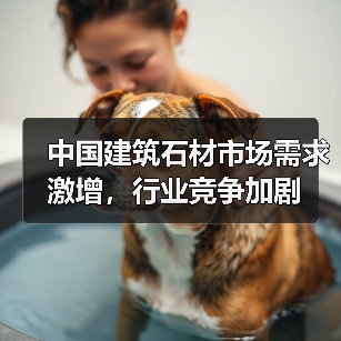 中国建筑石材市场需求激增,行业竞争加剧(图4) 中国建筑石材市场需求激增,行业竞争加剧(图4)