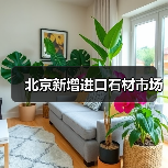 北京新增进口石材市场