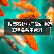 陕西石材小厂欲向奥运工程捐名贵荒料