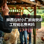 陕西石材小厂欲向奥运工程捐名贵荒料(图2) 陕西石材小厂欲向奥运工程捐名贵荒料(图2)