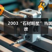2003“石材明星”当属谁