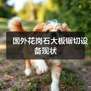 国外花岗石大板锯切设备现状(图4) 国外花岗石大板锯切设备现状(图4)