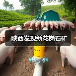 陕西发现新花岗石矿（图2）