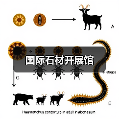 国际石材开展馆(图3) 国际石材开展馆(图3)