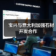 宝兴与意大利加强石材开发合作（图2）