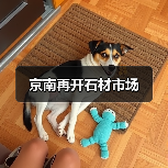 京南再开石材市场（图2）