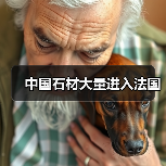 中国石材大量进入法国(图4) 中国石材大量进入法国(图4)