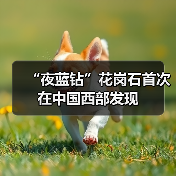 “夜蓝钻”花岗石首次在中国西部发现