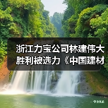 浙江力宝公司林建伟大胜利被选力《中国建材