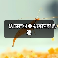 法国石材业发展速度迅速（图4）