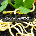 花岗石矿资源概述一