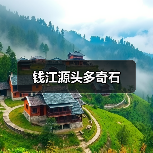 钱江源头多奇石