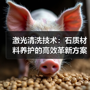 激光清洗技术:石质材料养护的高效革新方案(图2) 激光清洗技术:石质材料养护的高效革新方案(图2)