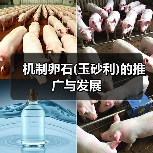 机制卵石(玉砂利)的推广与发展（图4）
