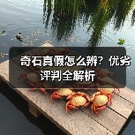 奇石真假怎么辨?优劣评判全解析(图3) 奇石真假怎么辨?优劣评判全解析(图3)