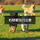 石材装饰四注意(图3) 石材装饰四注意(图3)
