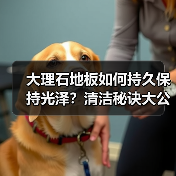 大理石地板如何持久保持光泽?清洁秘诀大公开(图4) 大理石地板如何持久保持光泽?清洁秘诀大公开(图4)