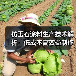 仿玉石涂料生产技术解析:低成本高效益制作方法(图3) 仿玉石涂料生产技术解析:低成本高效益制作方法(图3)
