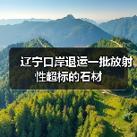 辽宁口岸退运一批放射性超标的石材（图1）